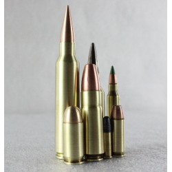 50 Beowolf Tactical Ammunition 50 Cartridges